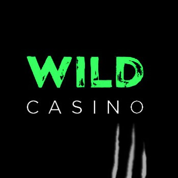 Wild Joker Online Casino Testimonial