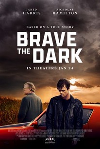 Brave the Dark online